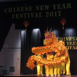 Chinese New Year Festival - Dragon dance