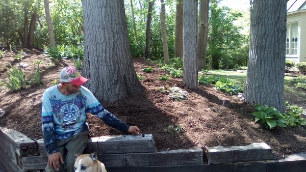 Morning Dew Property Preservation