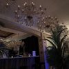 Chandelier Shelley gift card