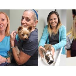 First Choice Veterinary Care