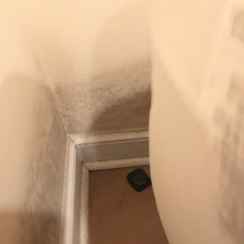 Streamline Management - Mold growing behind my bed. - Property Management Near Me - Bethesda, Maryland Streamline Management - Mold growing behind my bed. - Property Management Near Me - Bethesda, Maryland