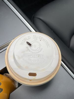 Blue Bottle Coffee by null