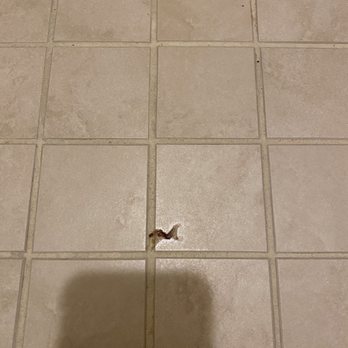 Argosy Casino & Hotel - Freaking gross. There is no way the cleaning crew missed this. - Casinos Near Me - Riverside, Missouri Argosy Casino & Hotel - Freaking gross. There is no way the cleaning crew missed this. - Casinos Near Me - Riverside, Missouri