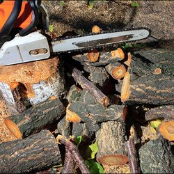 JW's Tree Service