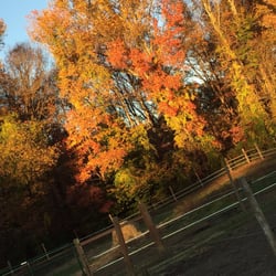 Beech Grove Farm - Scenery