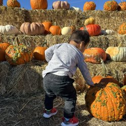 Grossi Family Farm