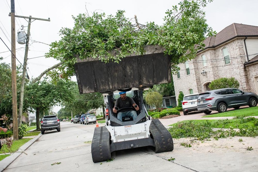 Abita Tree Service - tree service in Metairie, LA