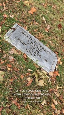 Little Rock Central High School National Historic Site by null