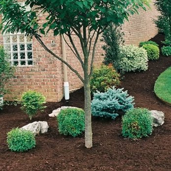 Reel Tree Service - Tree Services Near Me Reel Tree Service - Tree Services Near Me
