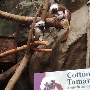 Franklin Park Zoo - Zoos Near Me - Boston, Massachusetts Franklin Park Zoo - Zoos Near Me - Boston, Massachusetts
