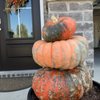 Meadow View Greenhouses & Garden Center gift card
