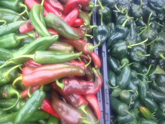 Montclair Village Farmers' Market by null