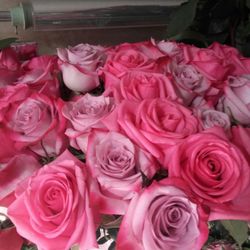 Au Nom de la Rose