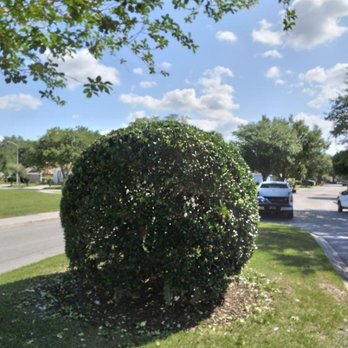 The Quality Group - Shaping - Landscaping Near Me The Quality Group - Shaping - Landscaping Near Me