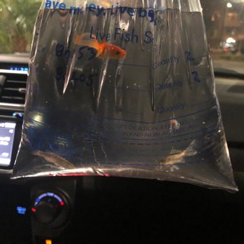 Walmart - Fishies - Department Stores Near Me - Torrance, California