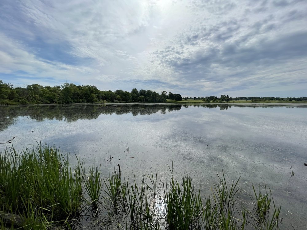 CELERY BOG NATURE AREA Updated September 2024 27 Photos 1620