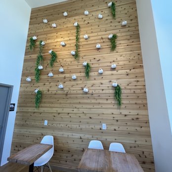 Waterbean Coffee - Cutest wall! - Coffee & Tea Near Me - Charlotte, North Carolina Waterbean Coffee - Cutest wall! - Coffee & Tea Near Me - Charlotte, North Carolina