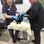 Photo of Lockridge Animal Hospital