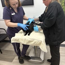 Lockridge Animal Hospital - Veterinary Techs
