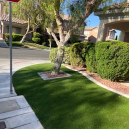 Sod replaced with turf and decorative ring added around the tree.