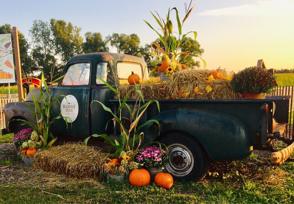 HARVEST TYME FAMILY FARM 45 Photos & 12 Reviews 17904 Grant St