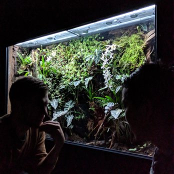 Undercote - The plant wall - Speakeasies Near Me - New York, New York