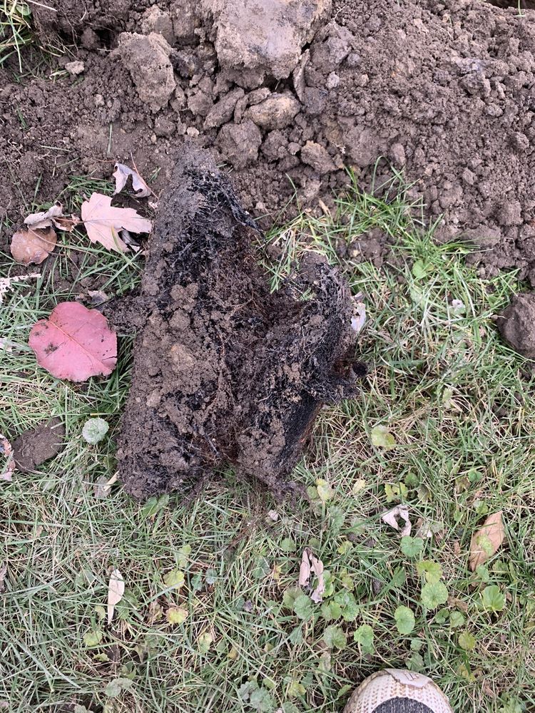 Slide of Devine Sewer And Drain Services