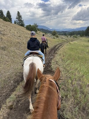 Jake's Horses Inc. by null