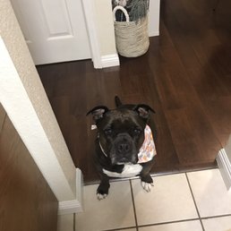 Gracie nice and clean!