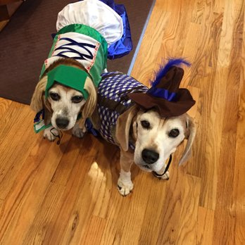 Radnor Veterinary Hospital - Brother and sister - Veterinarians Near Me - Wayne, Pennsylvania Radnor Veterinary Hospital - Brother and sister - Veterinarians Near Me - Wayne, Pennsylvania