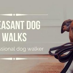 Pleasant Dog Walks