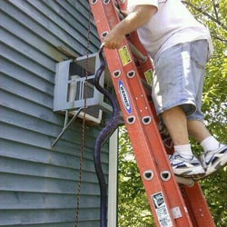 BEDR Wildlife Removal