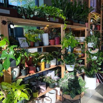 PlantHouse - Nurseries & Gardening Near Me - Charlotte, North Carolina