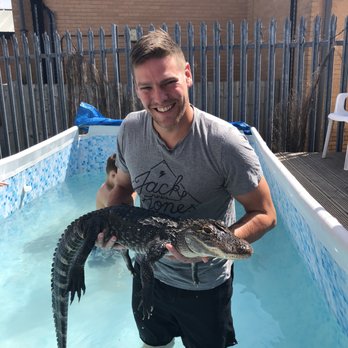 The Reptile Zone - 2018 Swimming with Aligators - Pet Stores Near Me - Bristol, BST The Reptile Zone - 2018 Swimming with Aligators - Pet Stores Near Me - Bristol, BST