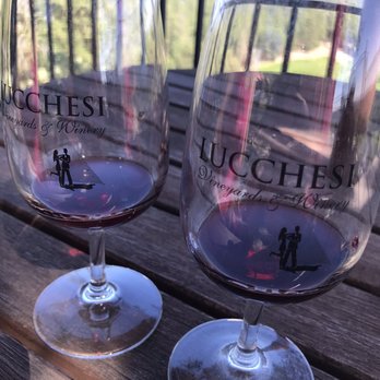 Lucchesi Vineyards & Winery - Our glasses - Wineries Near Me - Grass Valley, California Lucchesi Vineyards & Winery - Our glasses - Wineries Near Me - Grass Valley, California