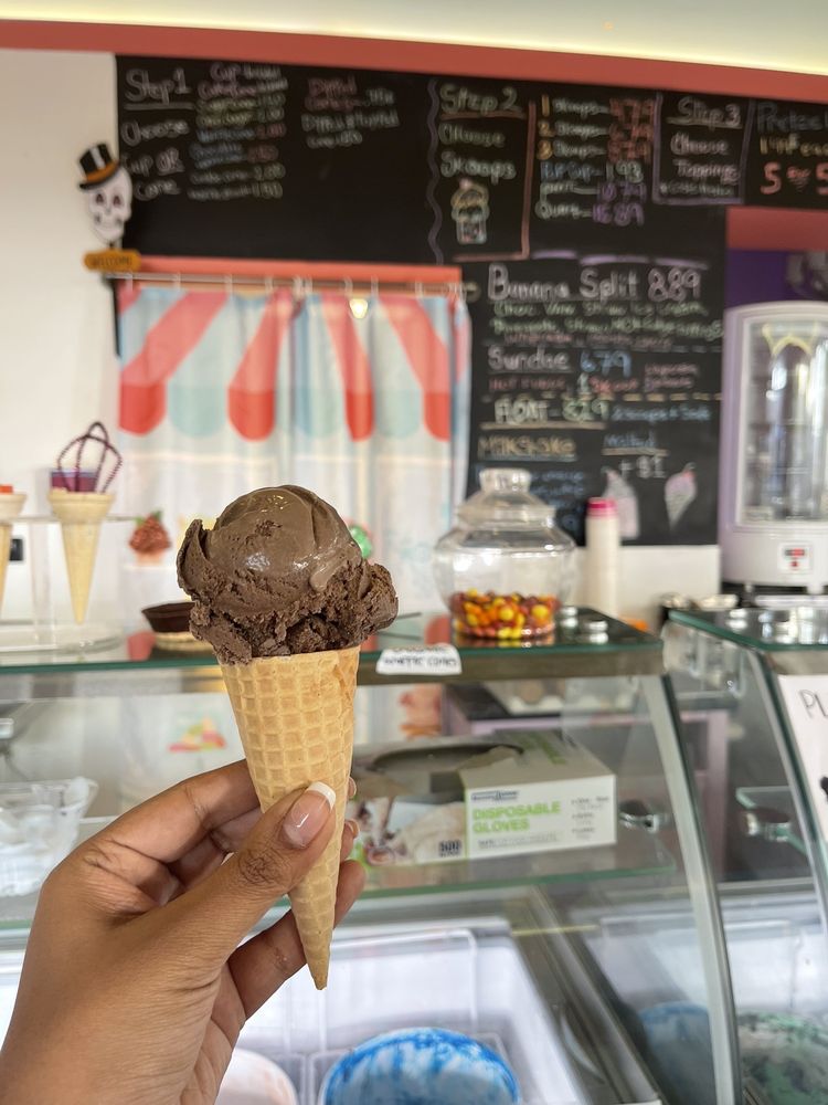 LAKESIDE SKOOP Updated September 2024 83 Photos & 13 Reviews 303