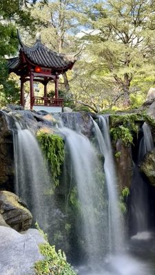 Chinese Garden of Friendship by null