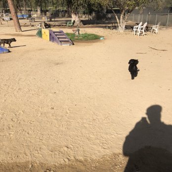 Recreation Dog Park - Dog Parks Near Me - Long Beach, California Recreation Dog Park - Dog Parks Near Me - Long Beach, California