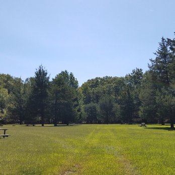 Pine Cone Campgrounds - This walk-in tent camping area is among the pretties I've seen. - Campgrounds Near Me - Freehold, New Jersey Pine Cone Campgrounds - This walk-in tent camping area is among the pretties I've seen. - Campgrounds Near Me - Freehold, New Jersey
