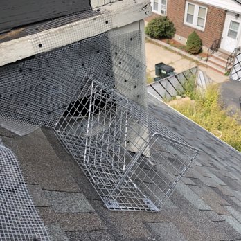 Pesky Pest Services - Raccoon one way door. This will allow raccoons to exit but not return. - Pest Control Near Me