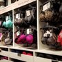 Torrid