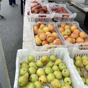 K&J Orchards - Pears & Stone Fruits - Fruits & Veggies Near Me - Winters, California K&J Orchards - Pears & Stone Fruits - Fruits & Veggies Near Me - Winters, California
