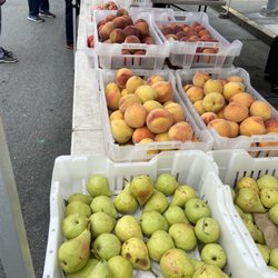 Pears & Stone Fruits