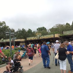 Disney's Animal Kingdom Bus Transportation