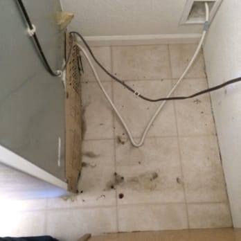 Merry Maids - Kitchen floor. - Home Cleaning Near Me - Manhattan, Kansas Merry Maids - Kitchen floor. - Home Cleaning Near Me - Manhattan, Kansas