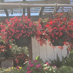 Pro Garden Supply