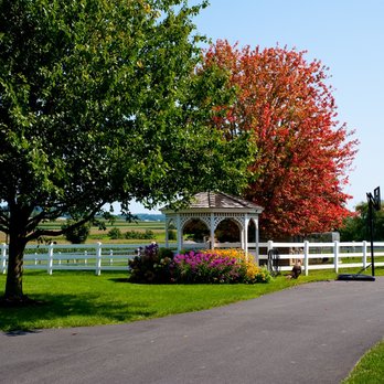 Country View PA Bed & Breakfast - Take a stroll to meet our animal friends and enjoy the views of the farmland. - Hotels Near Me - Kinzers, Pennsylvania Country View PA Bed & Breakfast - Take a stroll to meet our animal friends and enjoy the views of the farmland. - Hotels Near Me - Kinzers, Pennsylvania