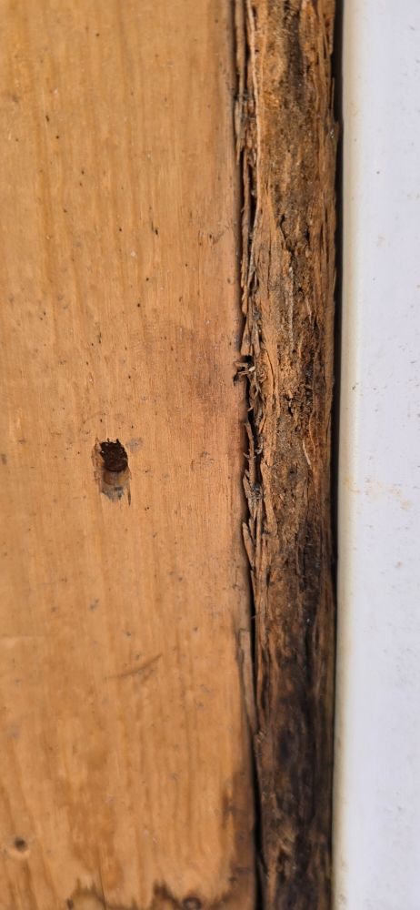 Slide of Sharps Maintenance Service