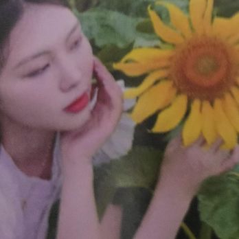 Sunflower Massage - flower - Massage Therapy Near Me - Clarksville, Arkansas Sunflower Massage - flower - Massage Therapy Near Me - Clarksville, Arkansas