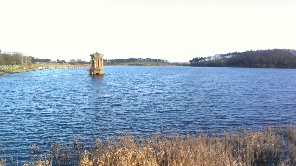 Dams to Darnley Country Park